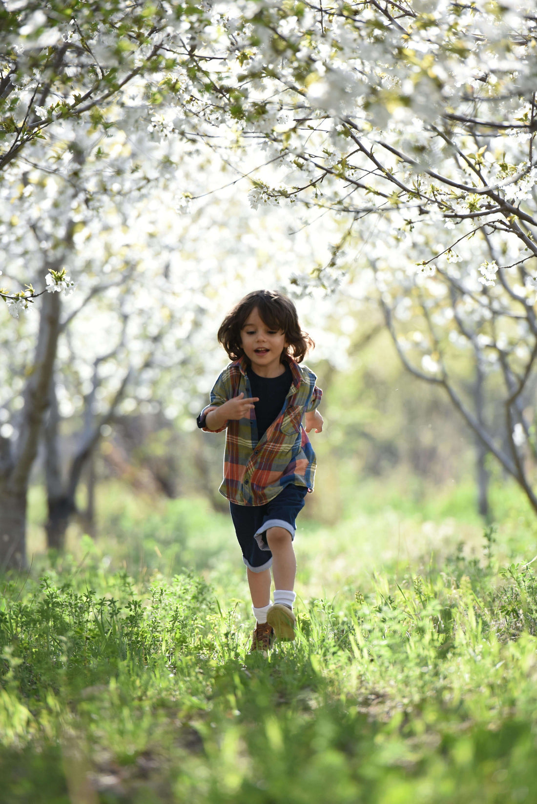 Best Prebiotic for Kids