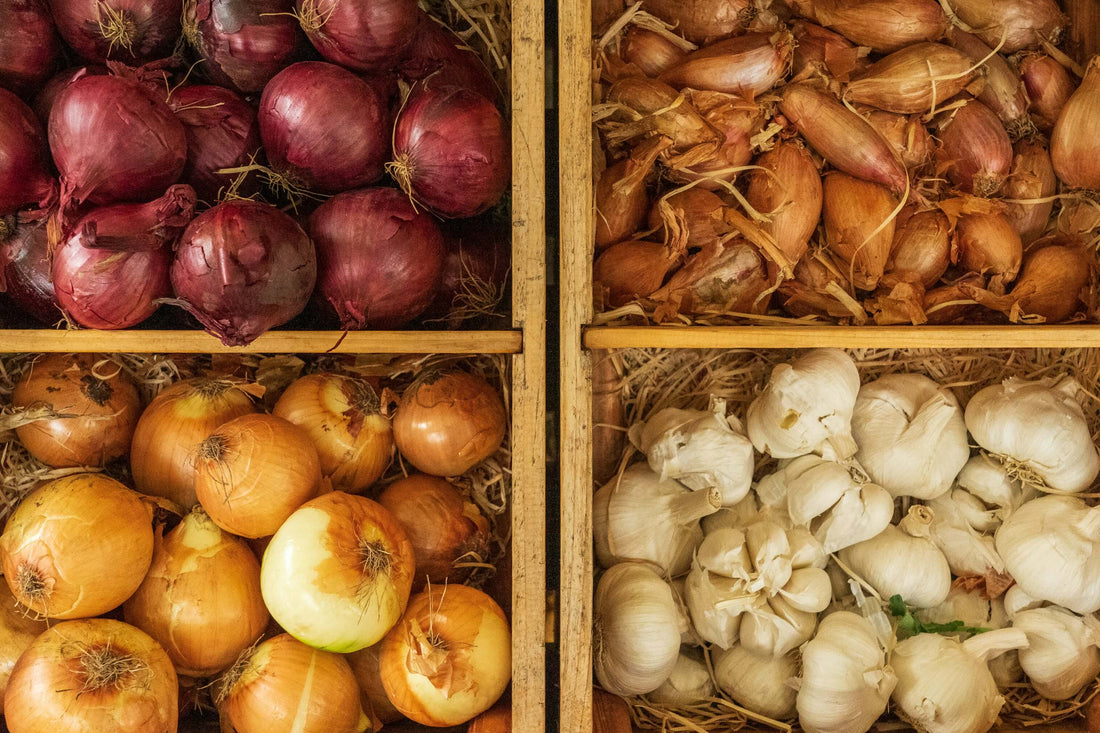 High fodmap foods like garlic and onion are pictured